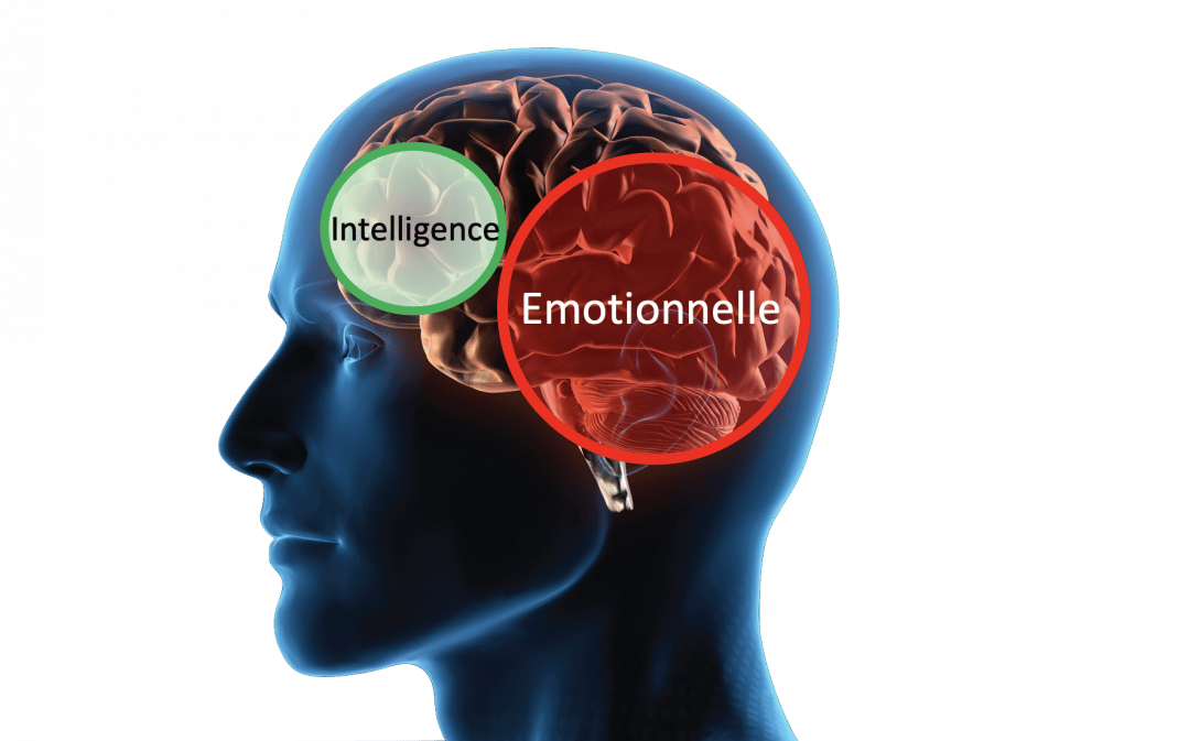 L'intelligence émotionnelle : une compétence managériale essentielle pour l'avenir. Niveau 1 : l’EIQ2