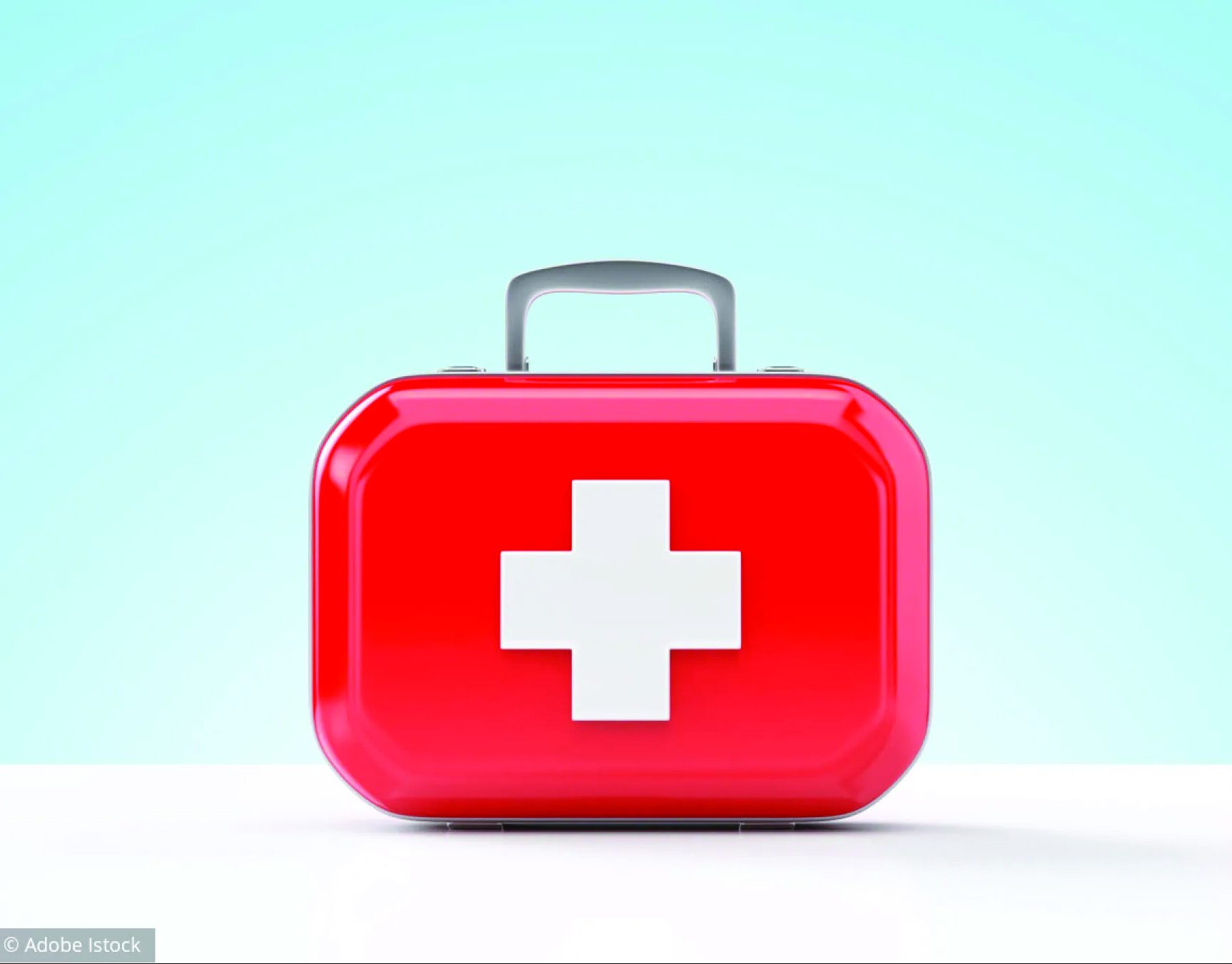 Secourisme (Niveau 2)